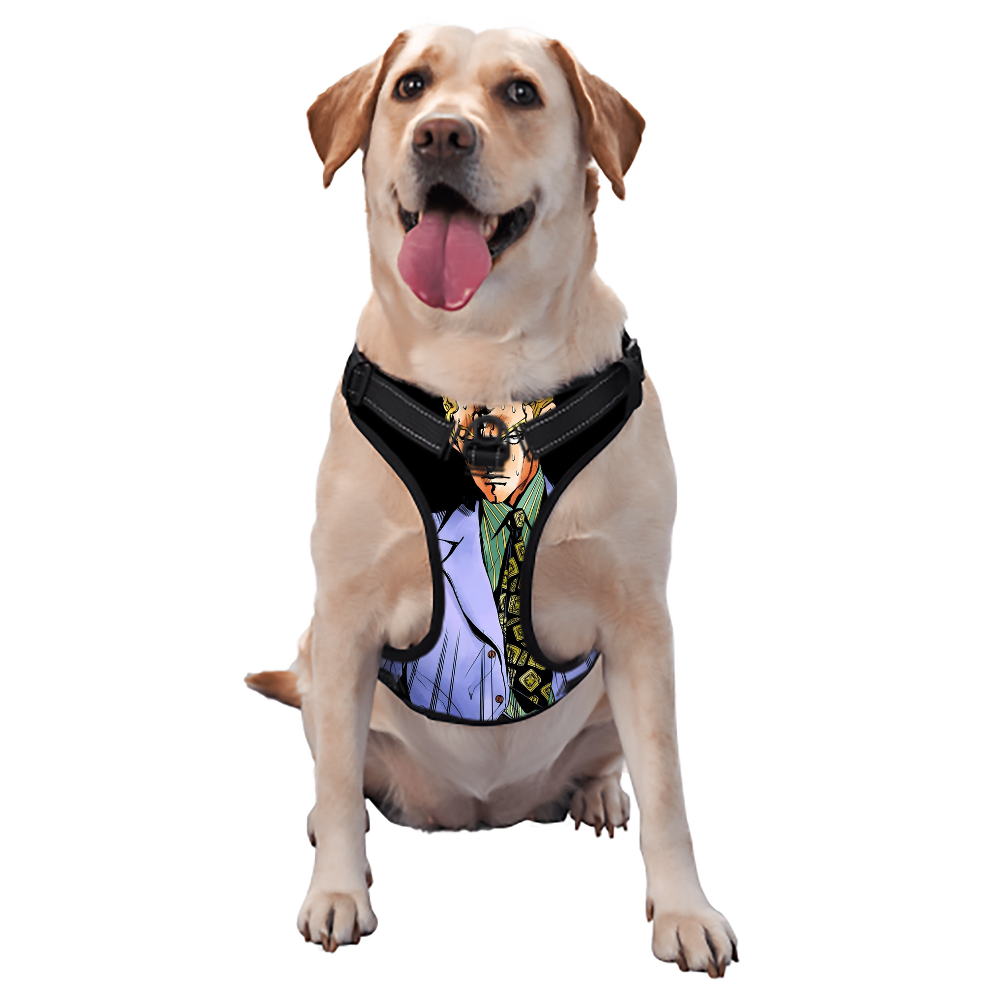 （画像用） ジョジョの奇妙な冒険 きら よしかげ JoJo's Bizarre Adventure Kira Yoshikage ペット用ハーネス